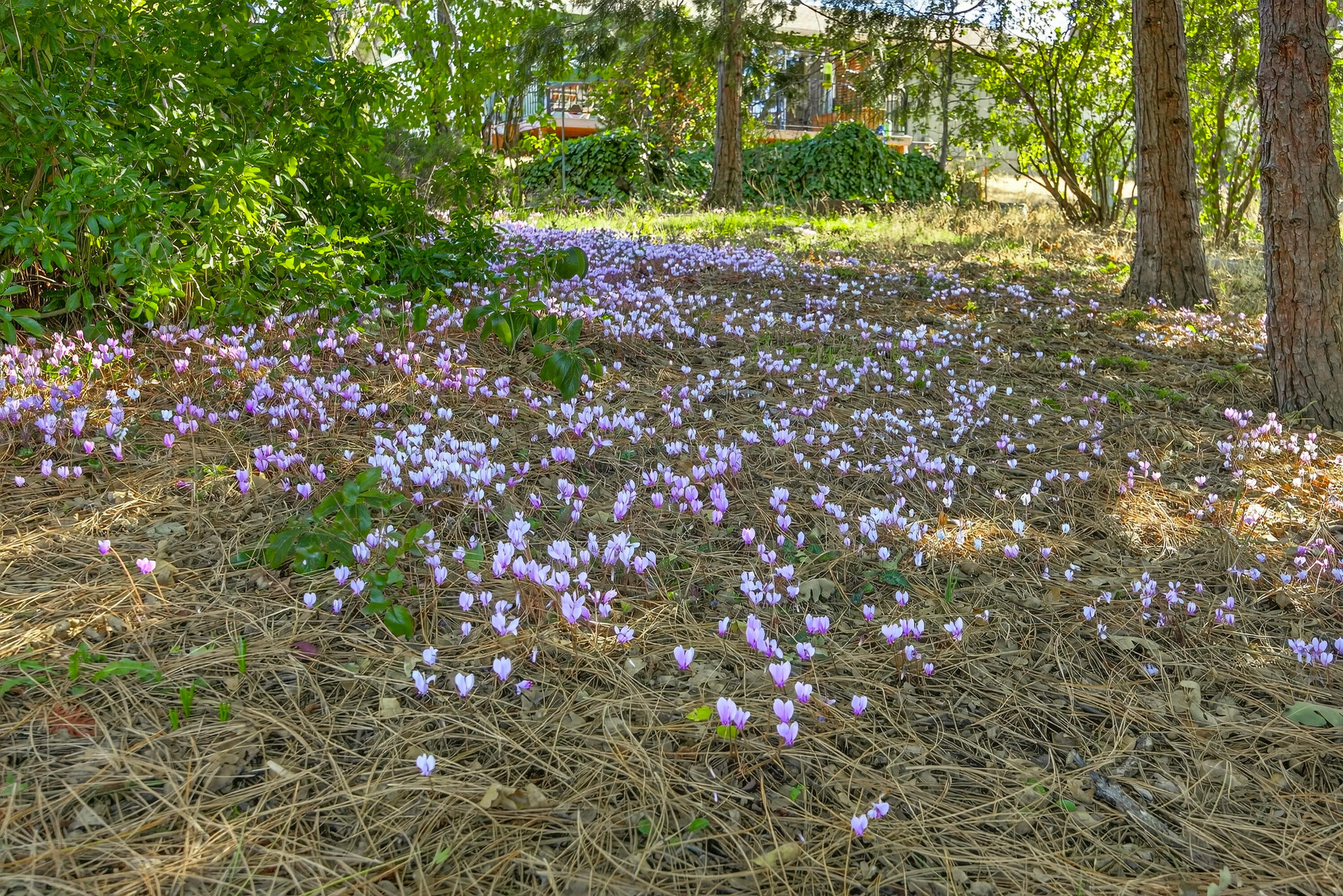 Greensprings Subdivision Extension No 1 - Residential