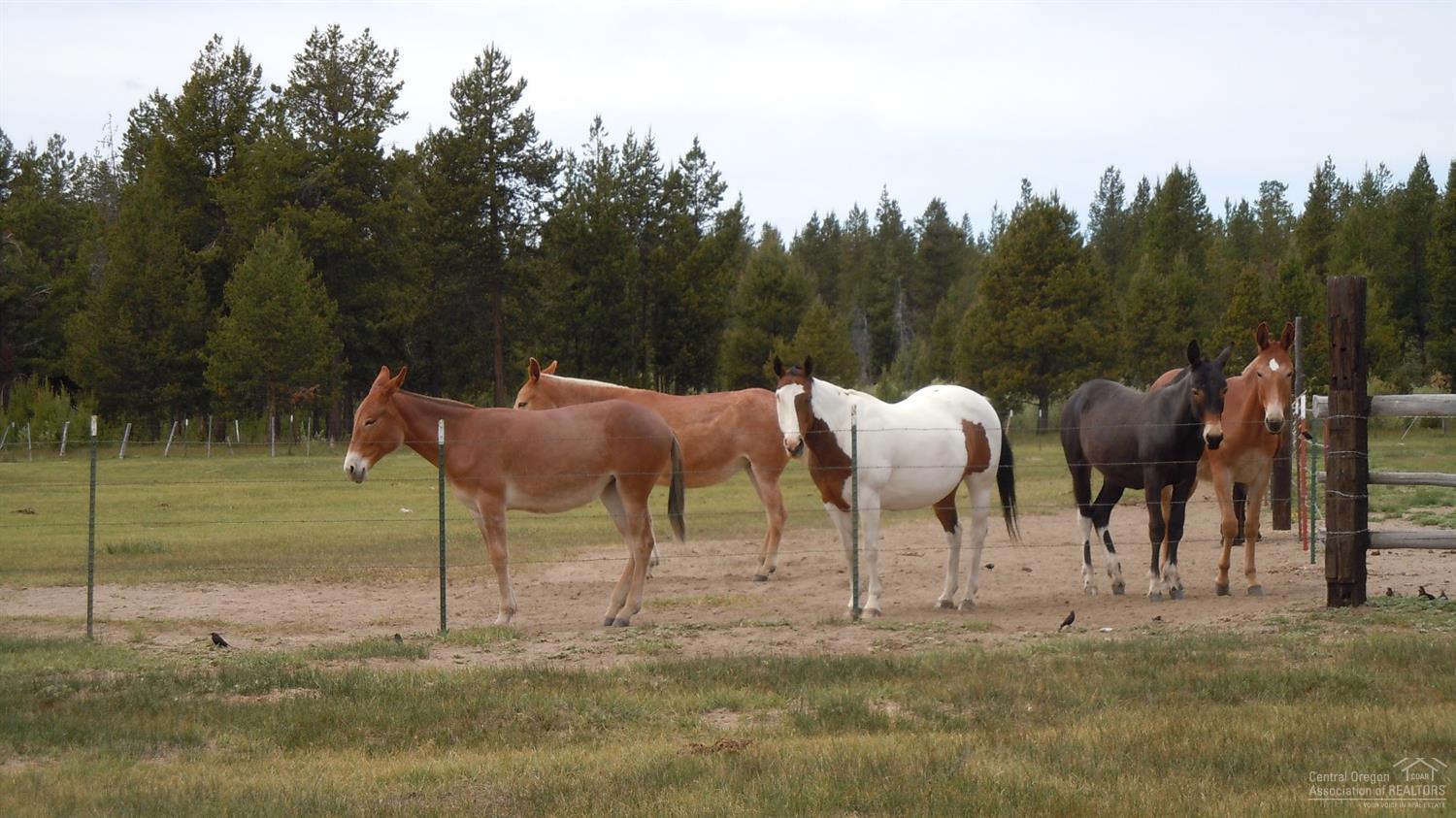 River West - Residential