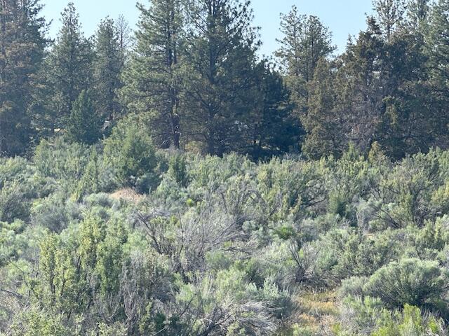 Sprague River Valley Acres - Land