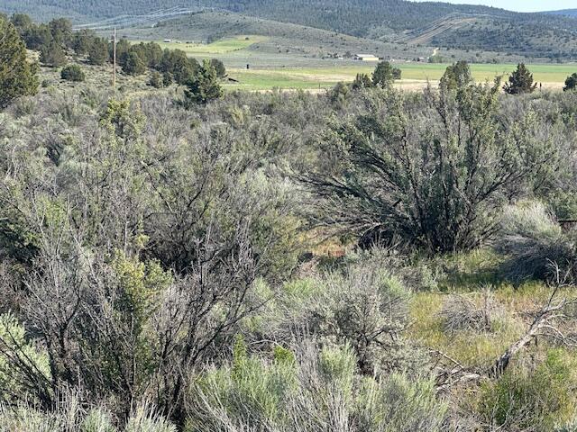 Council Butte