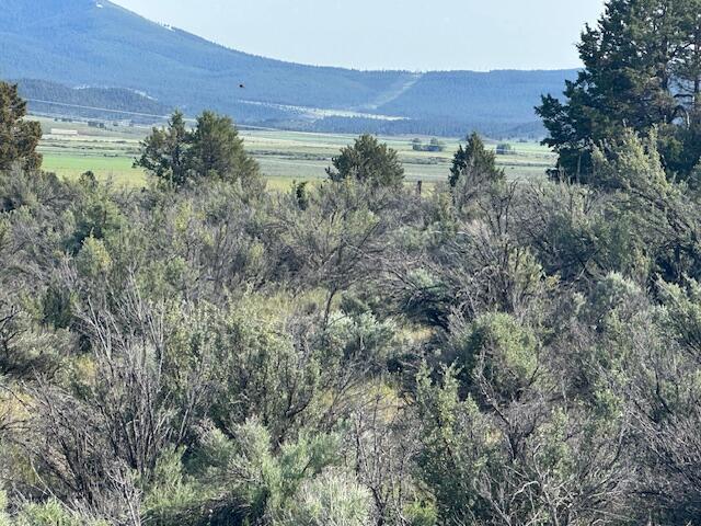 Council Butte