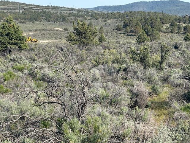 Council Butte