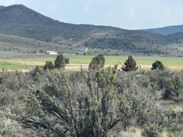 Council Butte