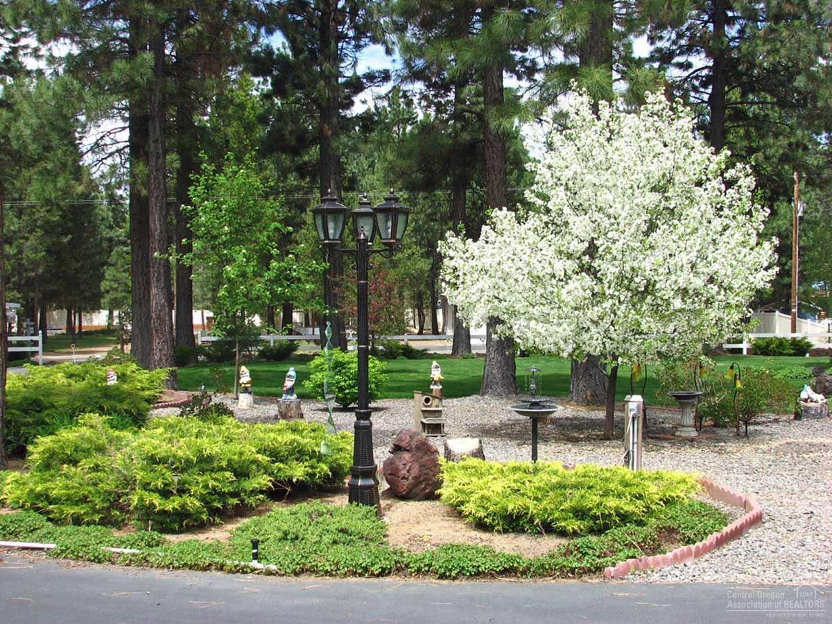 Tall Pines - Residential