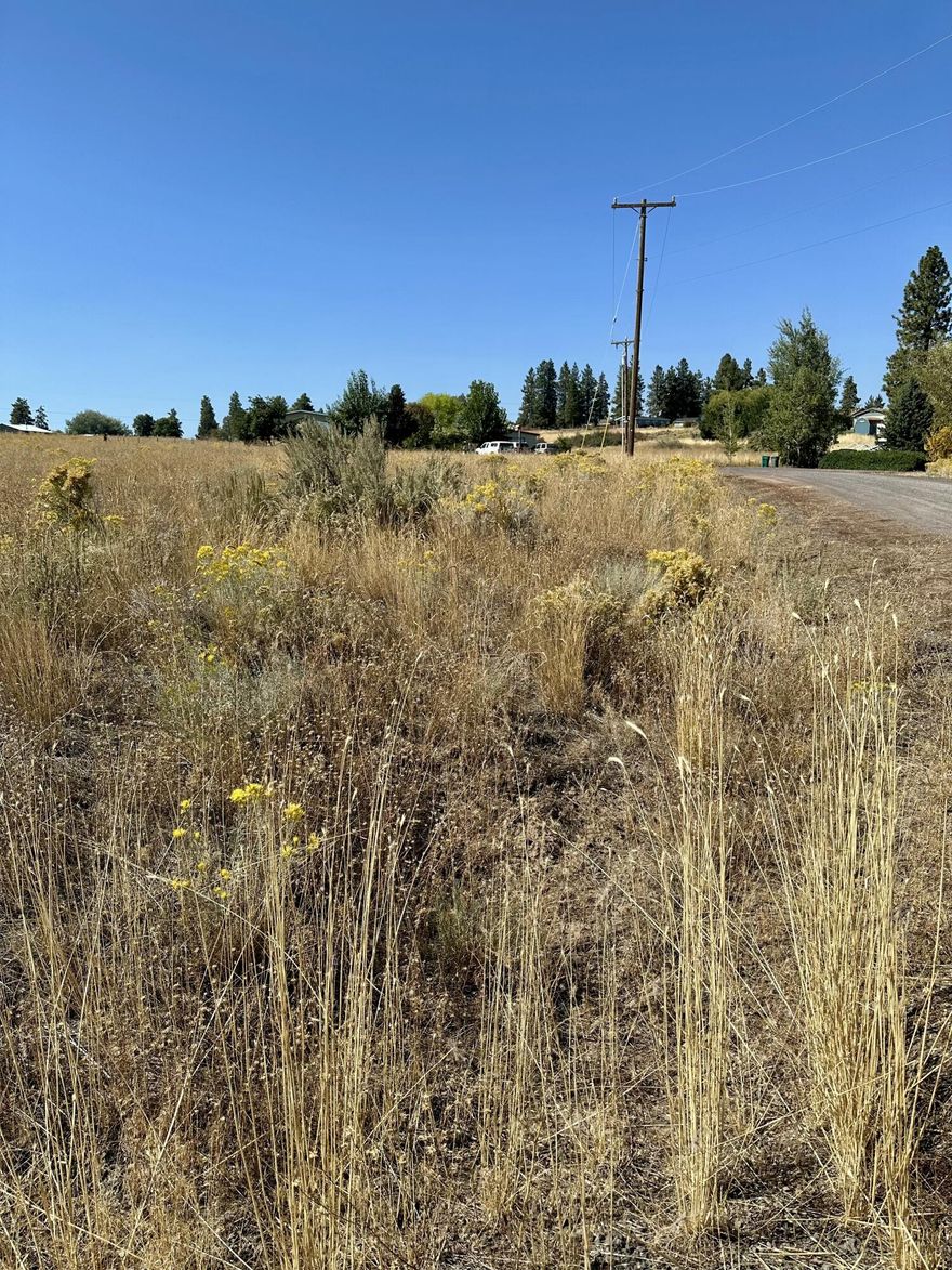 Build your future getaway or permeant residence on this vacant lot located in the desirable Oregon Shores community near Agency Lake. With stunning mountain views and nearby recreational activities like fishing, boating, hiking and more you'll have the perfect base for enjoying everything Klamath county has to offer. Buyer is to do their own due diligence regarding zoning and building.