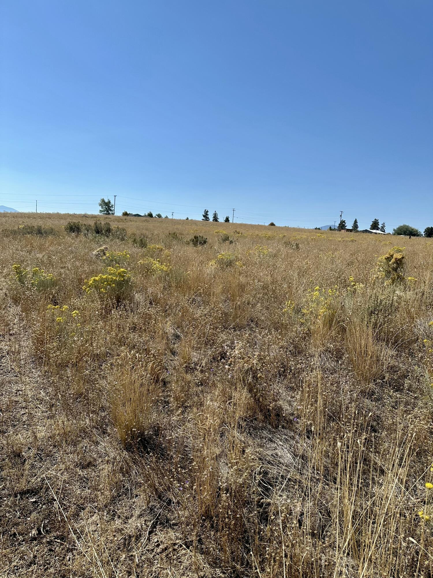 Oregon Shores - Land