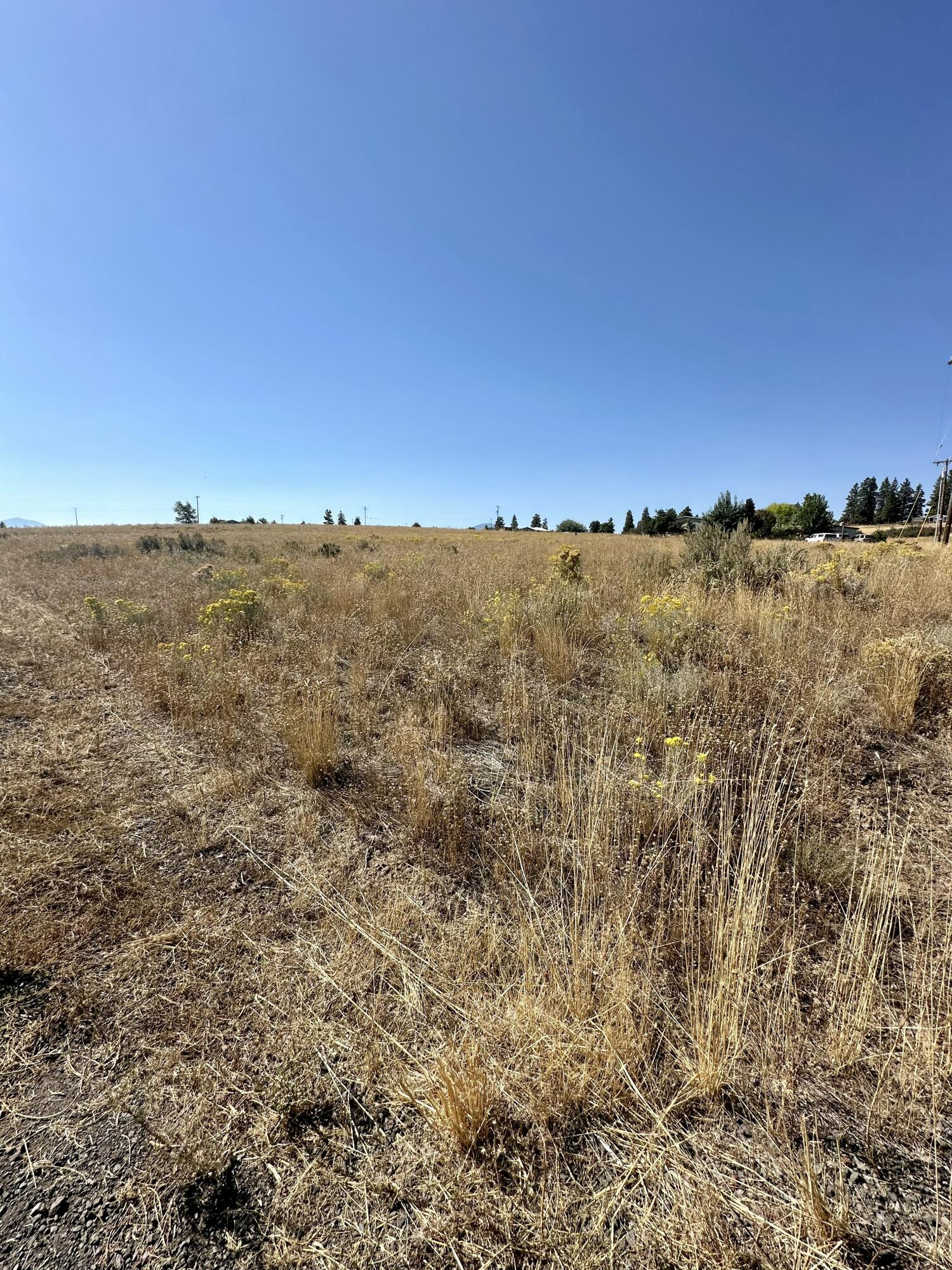 Oregon Shores - Land