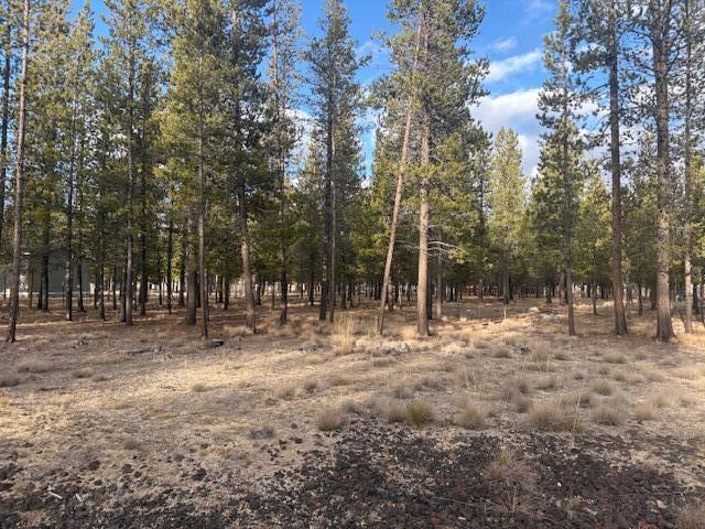 Sun Forest Estates - Land