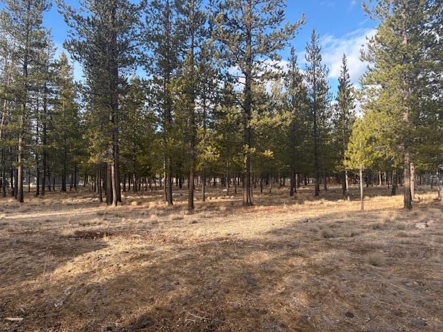 Sun Forest Estates - Land