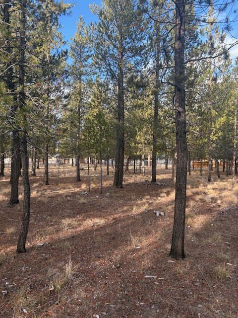 Sun Forest Estates - Land