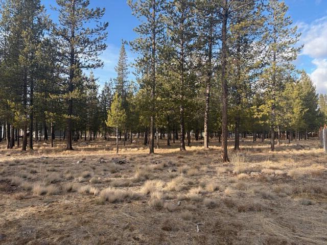 Sun Forest Estates - Land