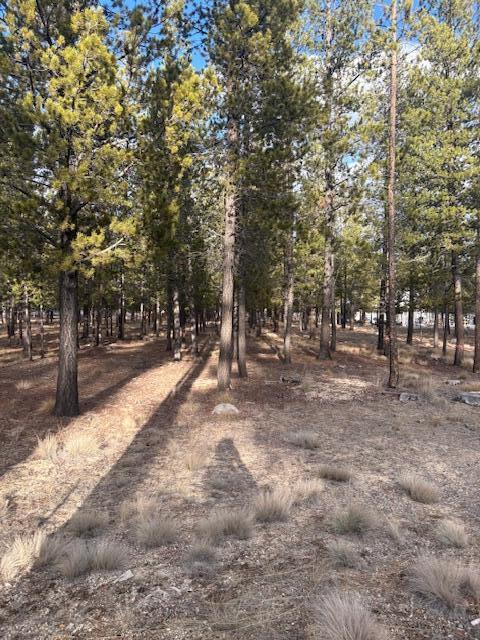 Sun Forest Estates - Land