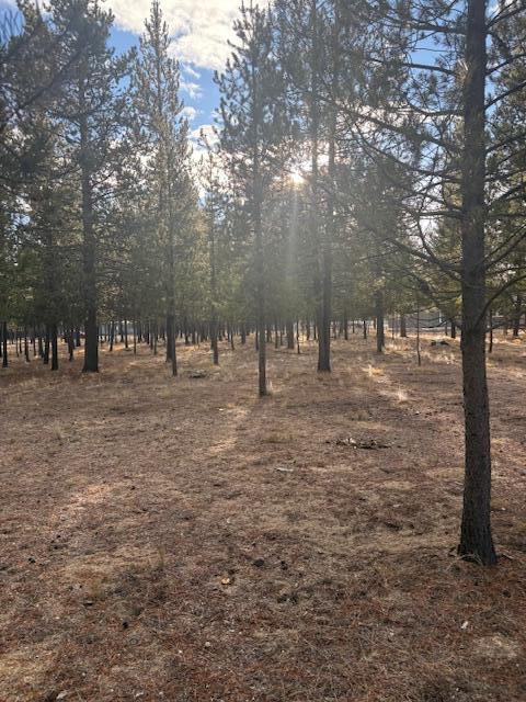 Sun Forest Estates - Land