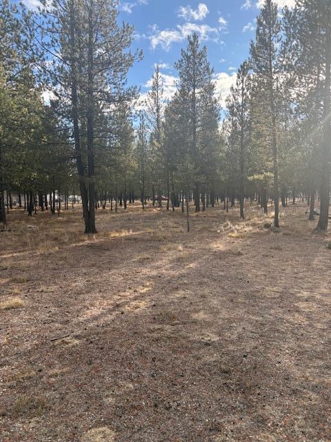 Sun Forest Estates - Land