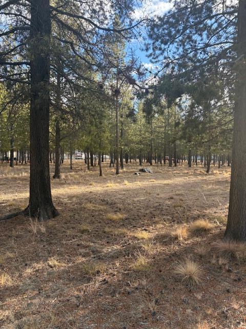 Sun Forest Estates - Land