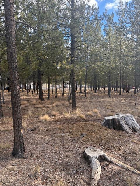 Sun Forest Estates - Land