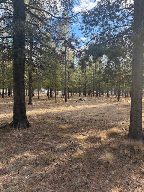 Sun Forest Estates - Land