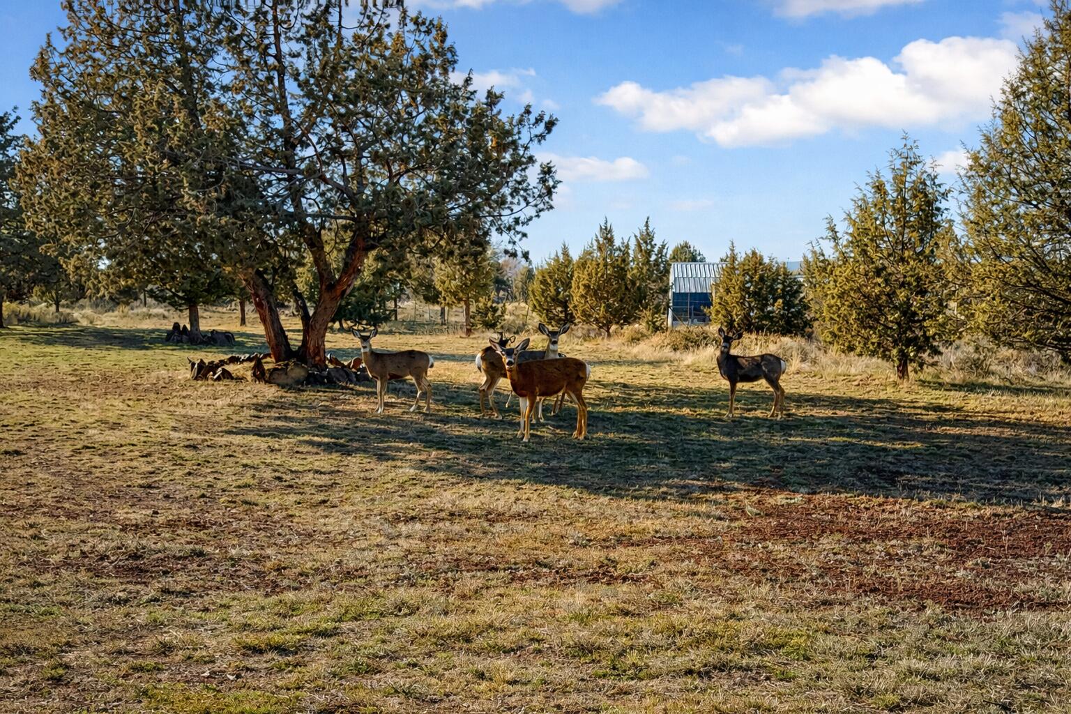 14734 SW Peninsula Drive