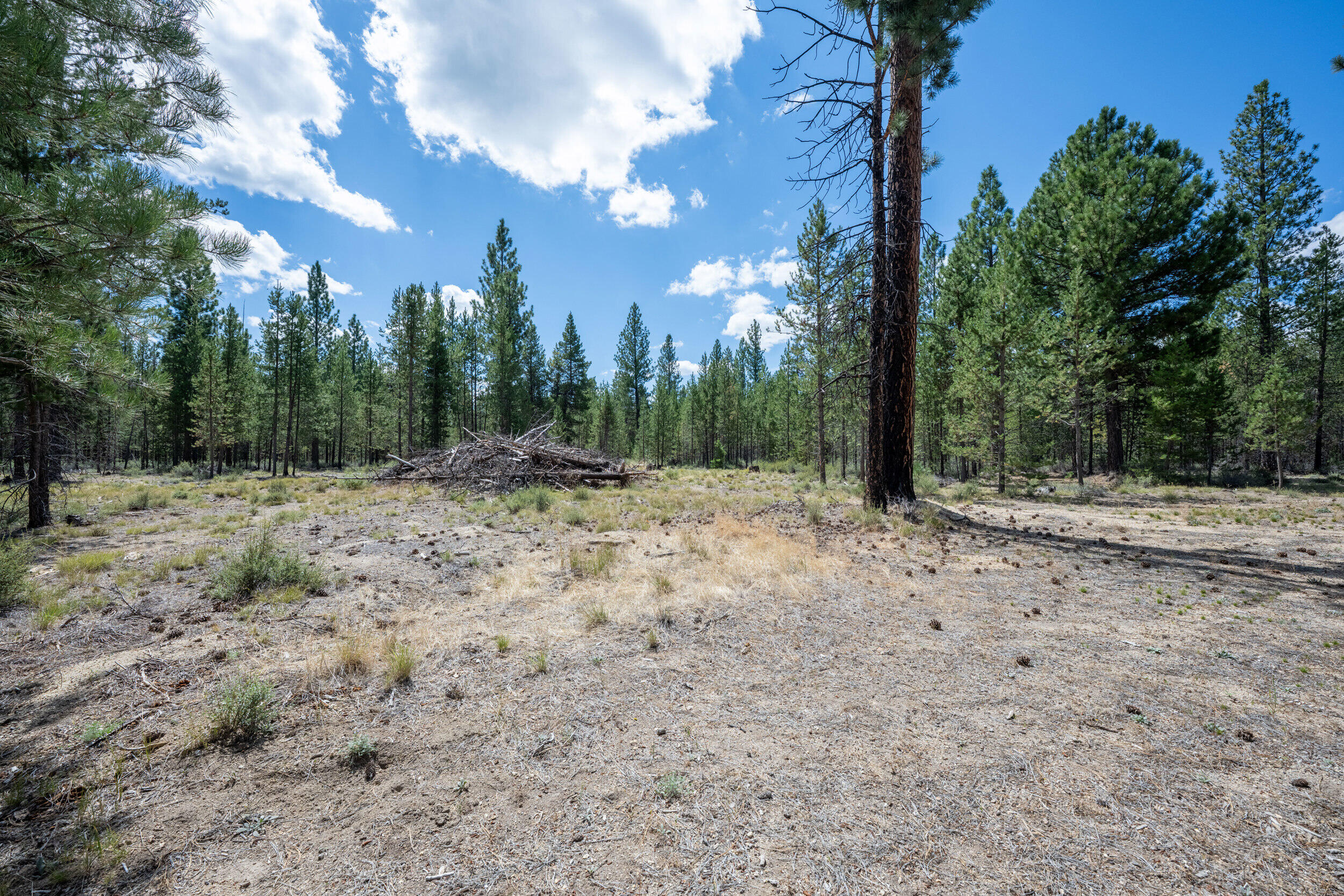 Chapman's Tracts - Residential