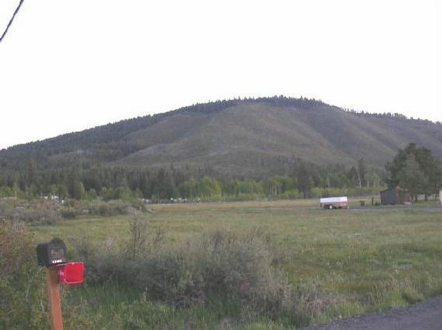 Level Building Lot On Paved Road. Nice Trees On One Side.