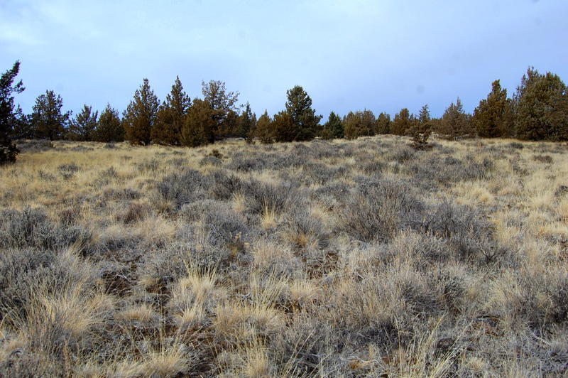 Ochoco Land + Livest - Land