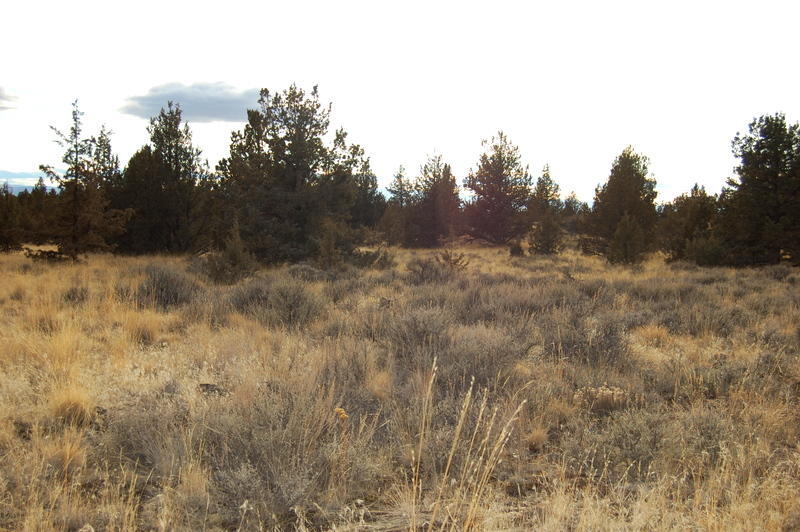 Ochoco Land + Livest - Land