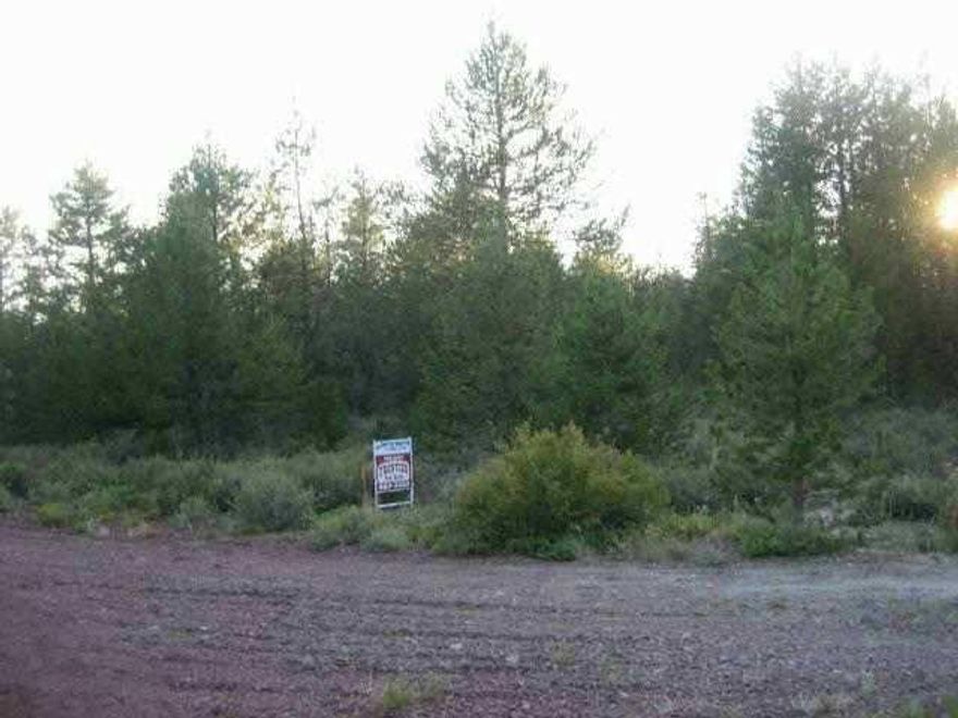 Two Lots. Flag Lot Insures Privacy. Lot 13 Is Also Available, Listed At $7000. Power Available. Good Cinder Roads