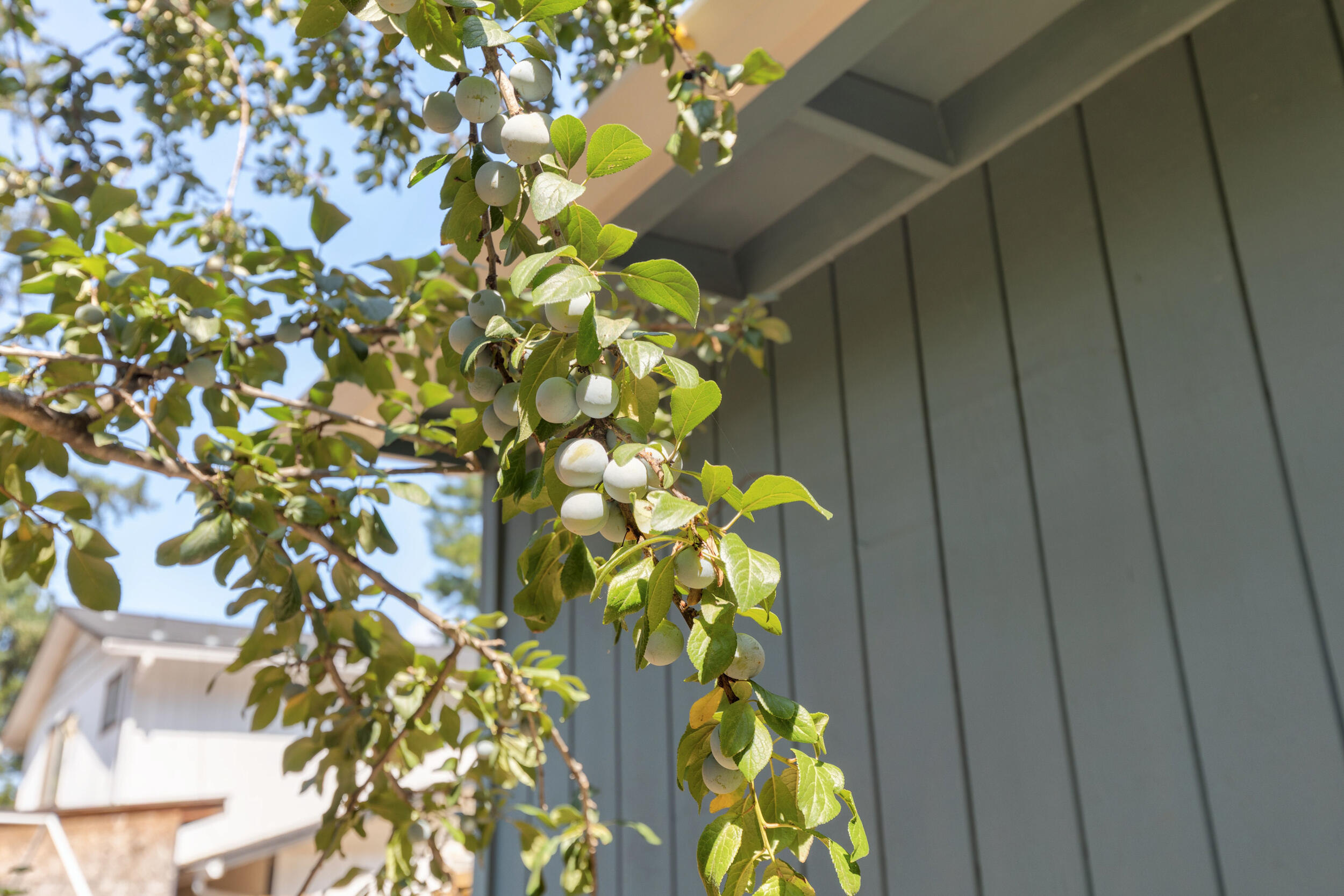 Nurnberger-carlton Subdivision - Residential