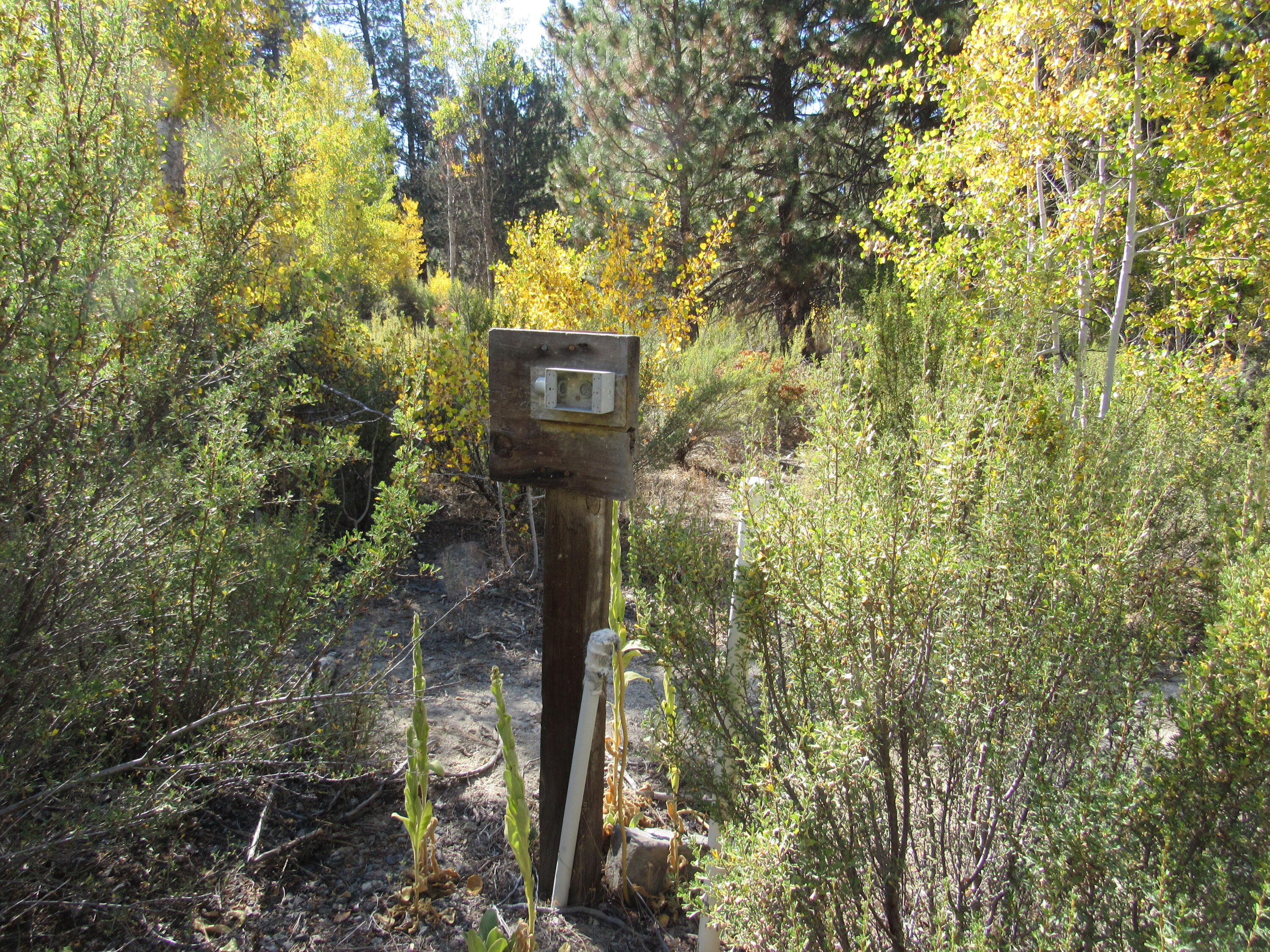 Pine Ridge Estates -Unit 1 - Land