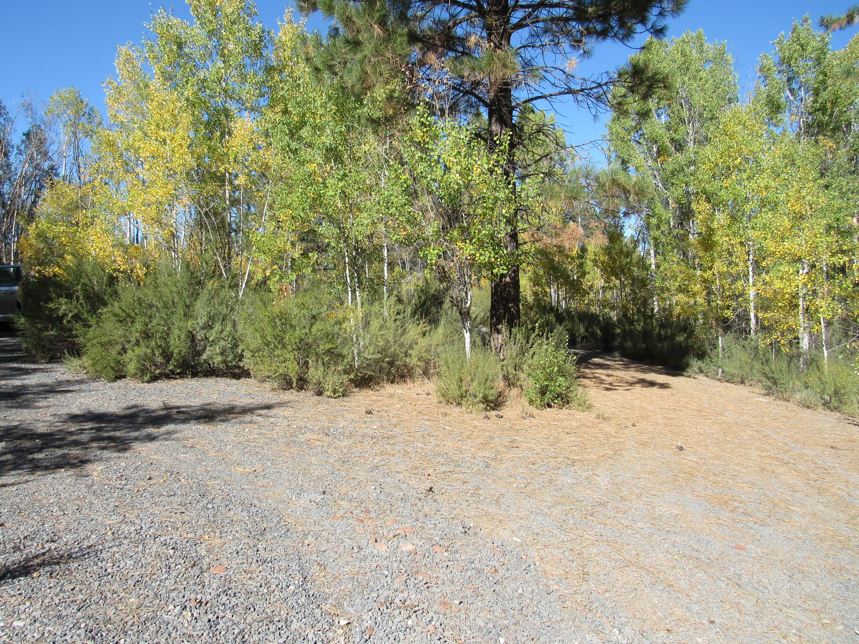 Pine Ridge Estates -Unit 1 - Land