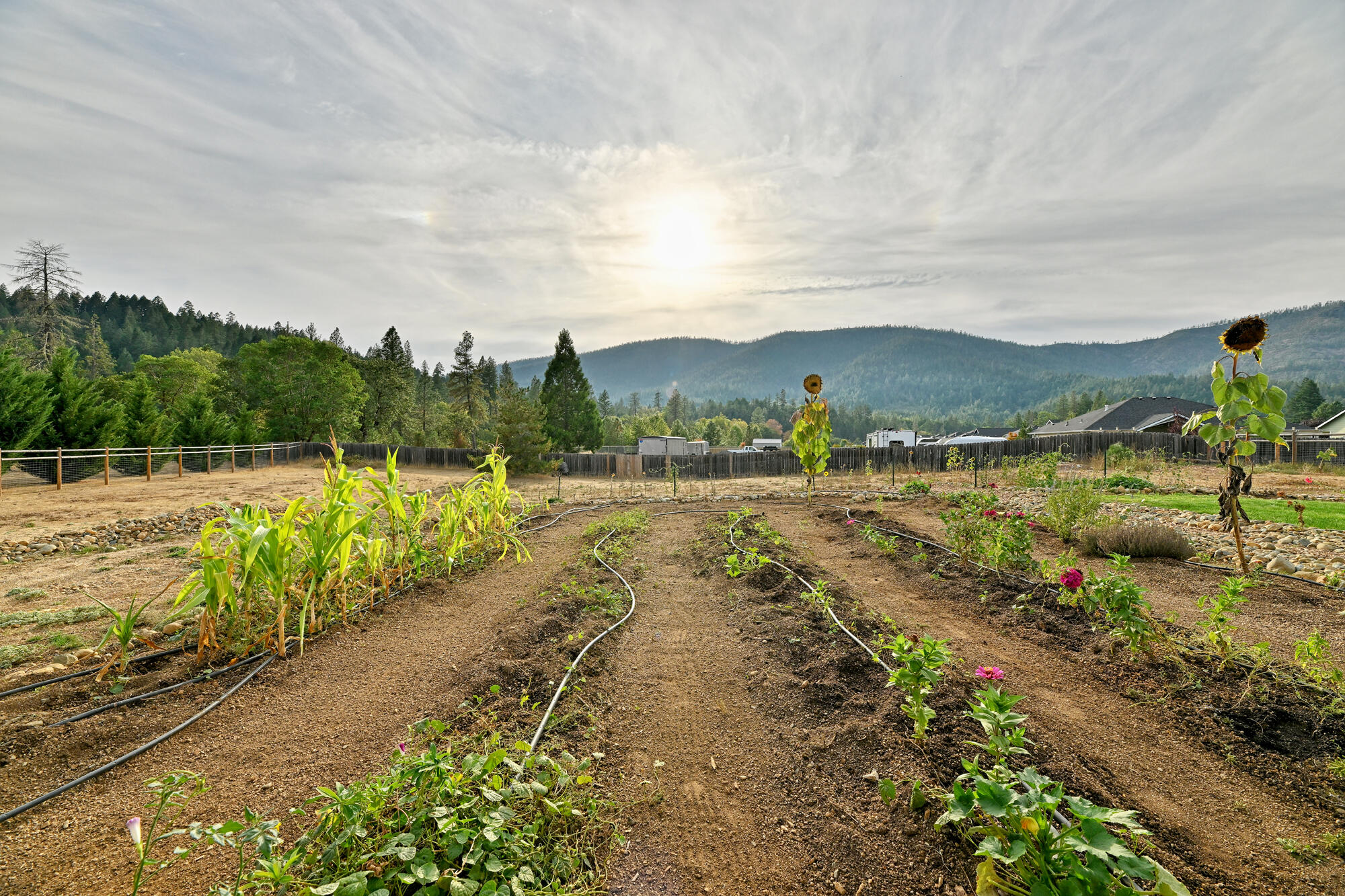 Illinois River Estates - Residential