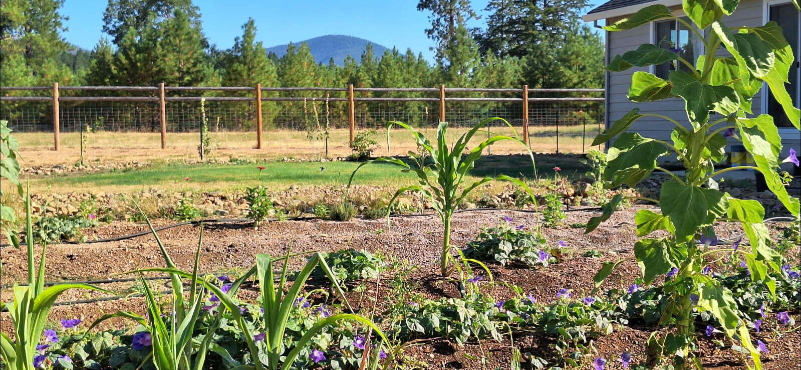 Illinois River Estates - Residential