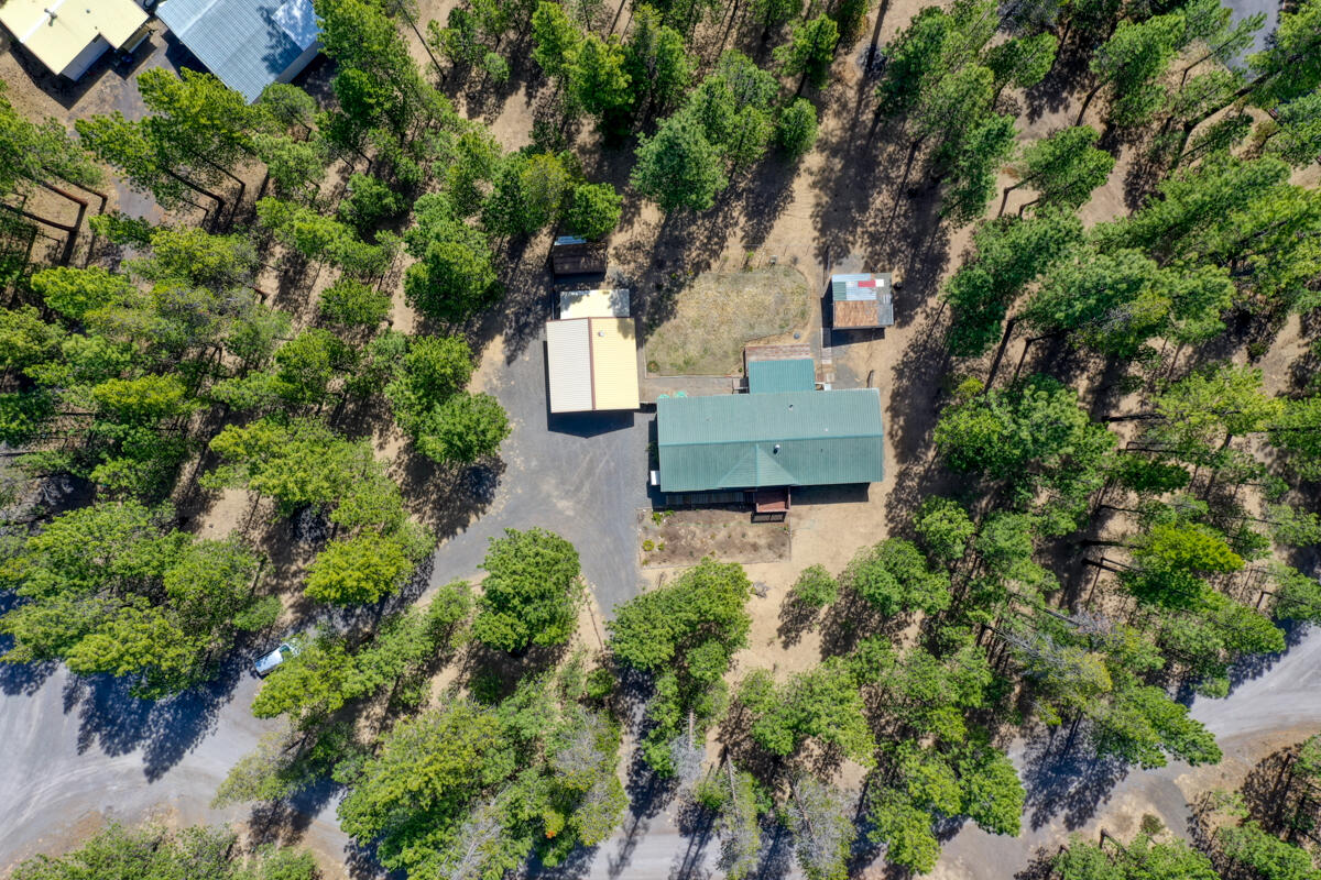 Ponderosa Pines - Residential