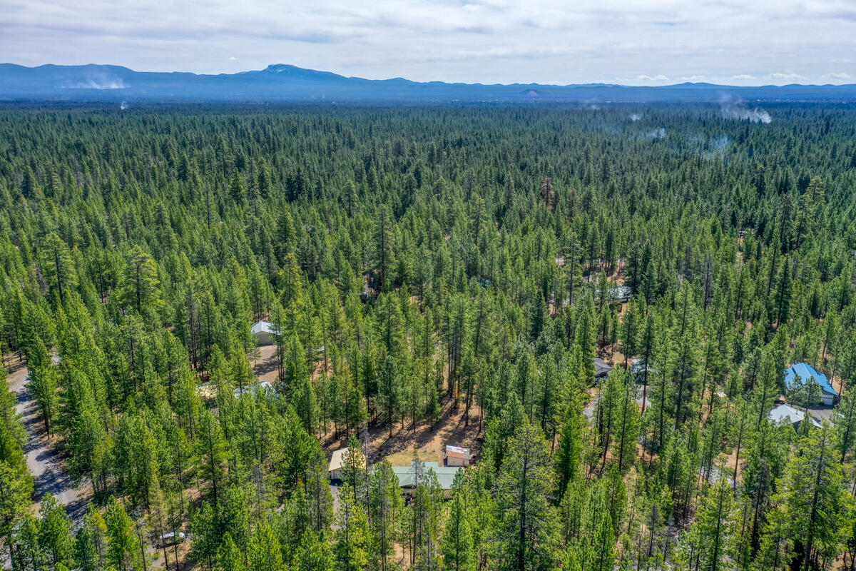 Ponderosa Pines - Residential