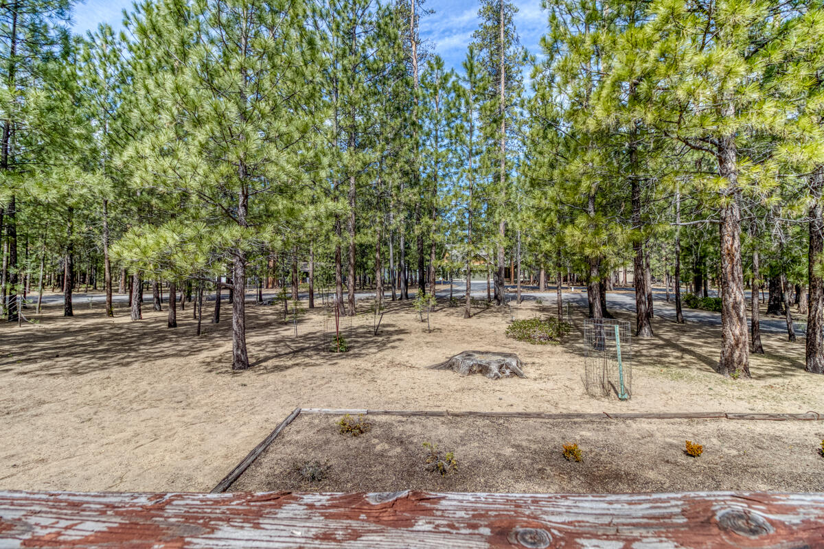 Ponderosa Pines - Residential