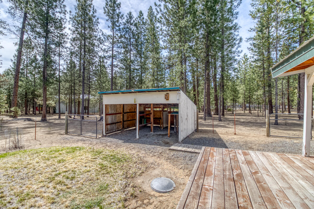 Ponderosa Pines - Residential