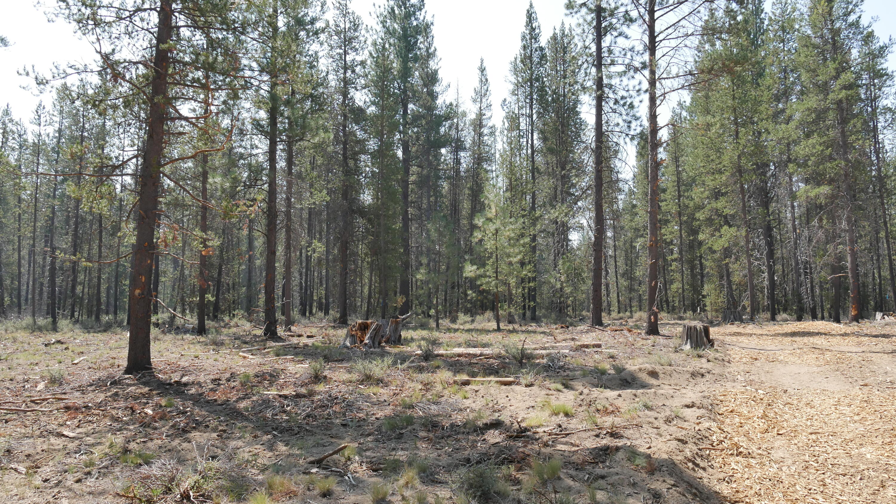 Caldera Springs - Land