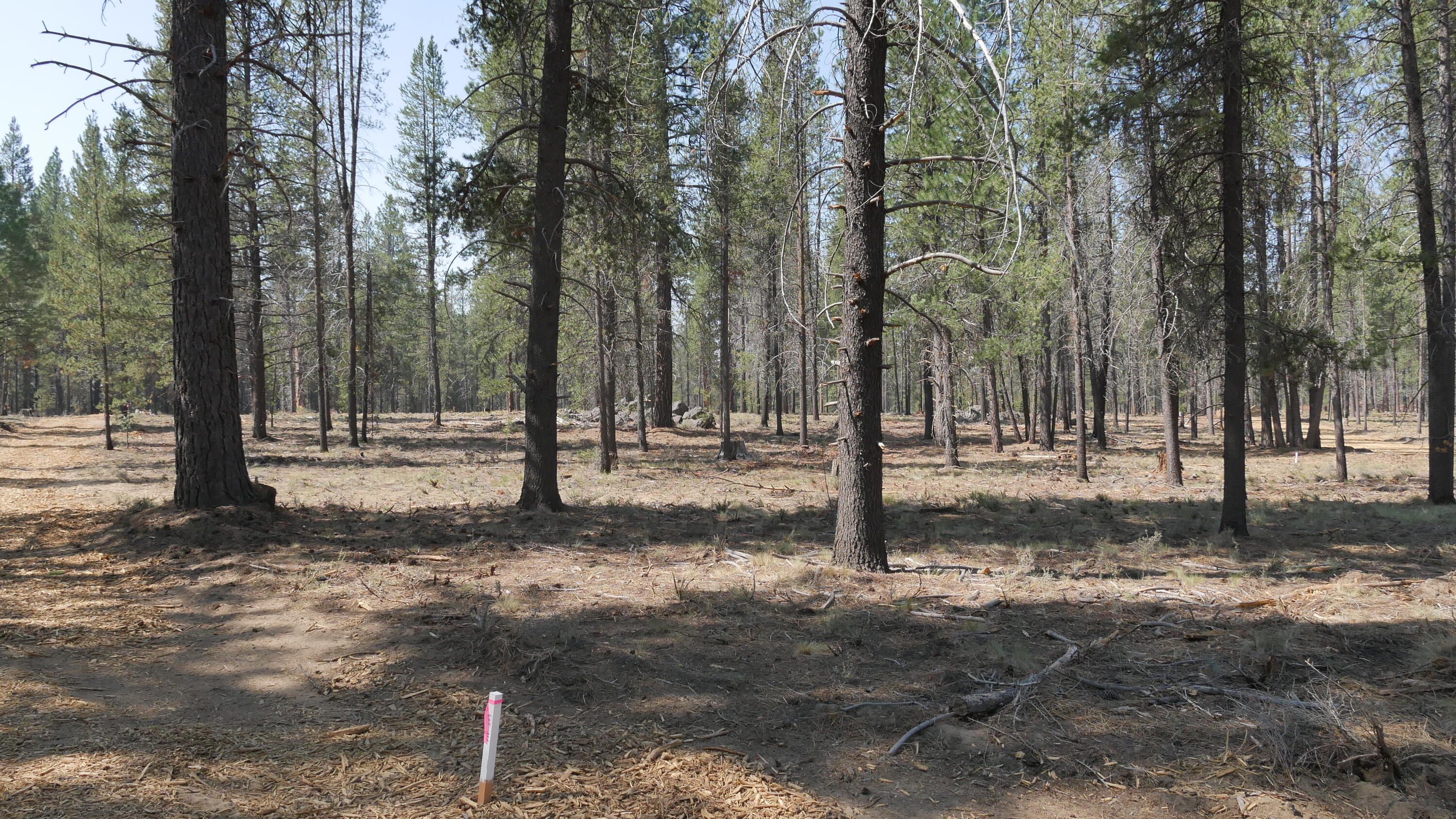 Caldera Springs - Land