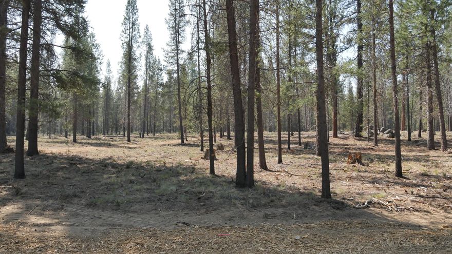 One of the most coveted communities in Central Oregon, the Mirror Rock neighborhood is the first new neighborhood in Caldera Springs since 2007. The expansion of Caldera Springs also includes planned amenities such as a new pool with water slide and family game room. A park featuring pickleball courts, climbing and play structures, small and large dog parks, along with miles of new paved and soft trails that connect to existing pathways and trails throughout Caldera Springs and Sunriver. Homeowners will also have access to
Caldera Links, and the popular Sunriver Resort facilities. Taxes are not included. Taxes will be determined after final recorded plat and appointed assessor's parcel number.