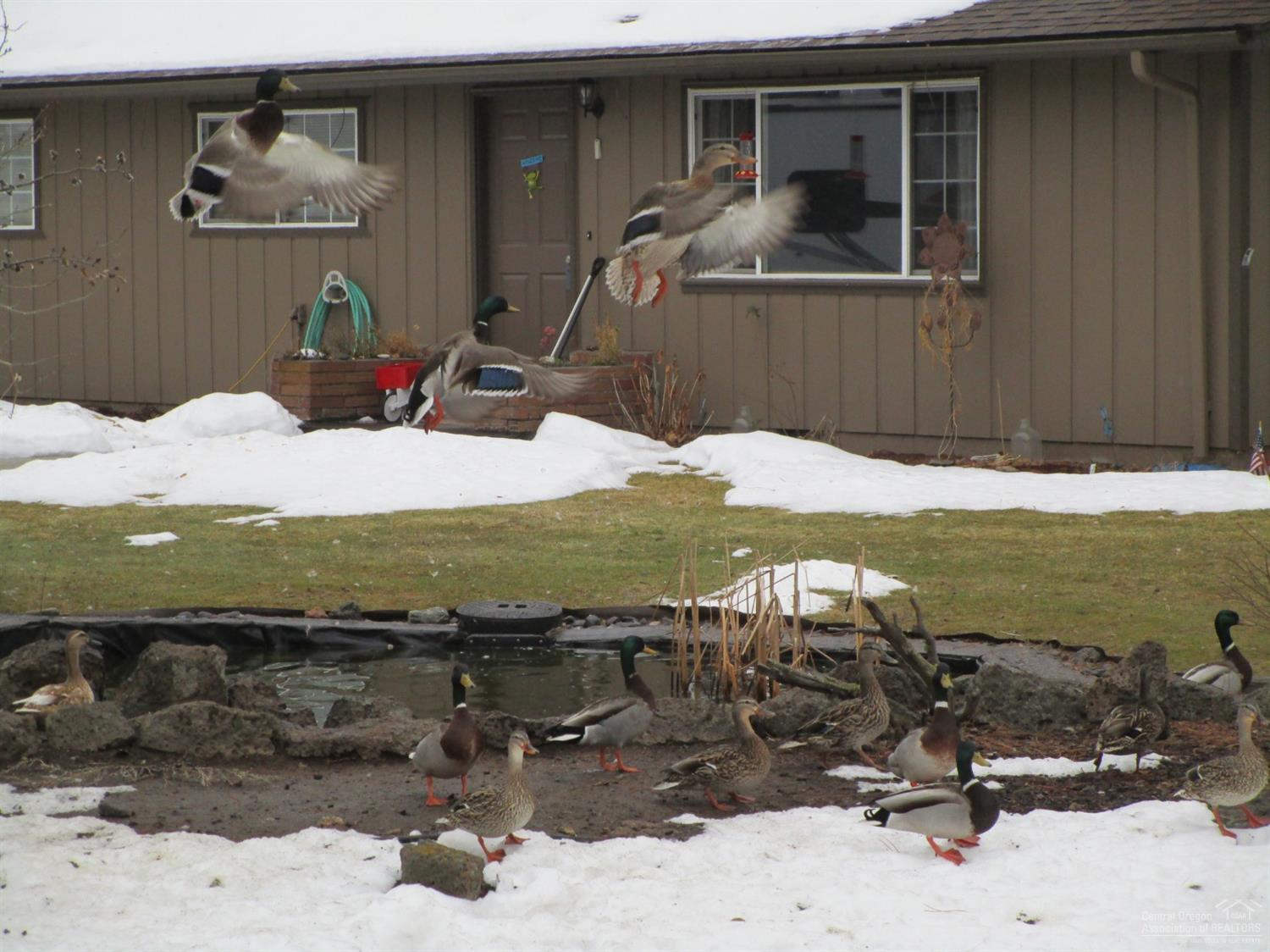 Ranch Way Acres - Residential