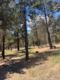 Running YResort - Land