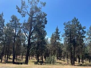 Running YResort - Land