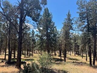 Running YResort - Land