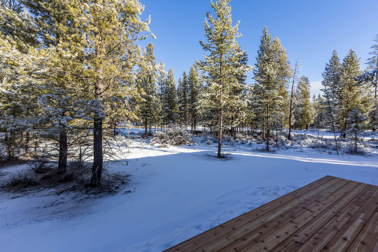 Sun Forest Estates - Residential