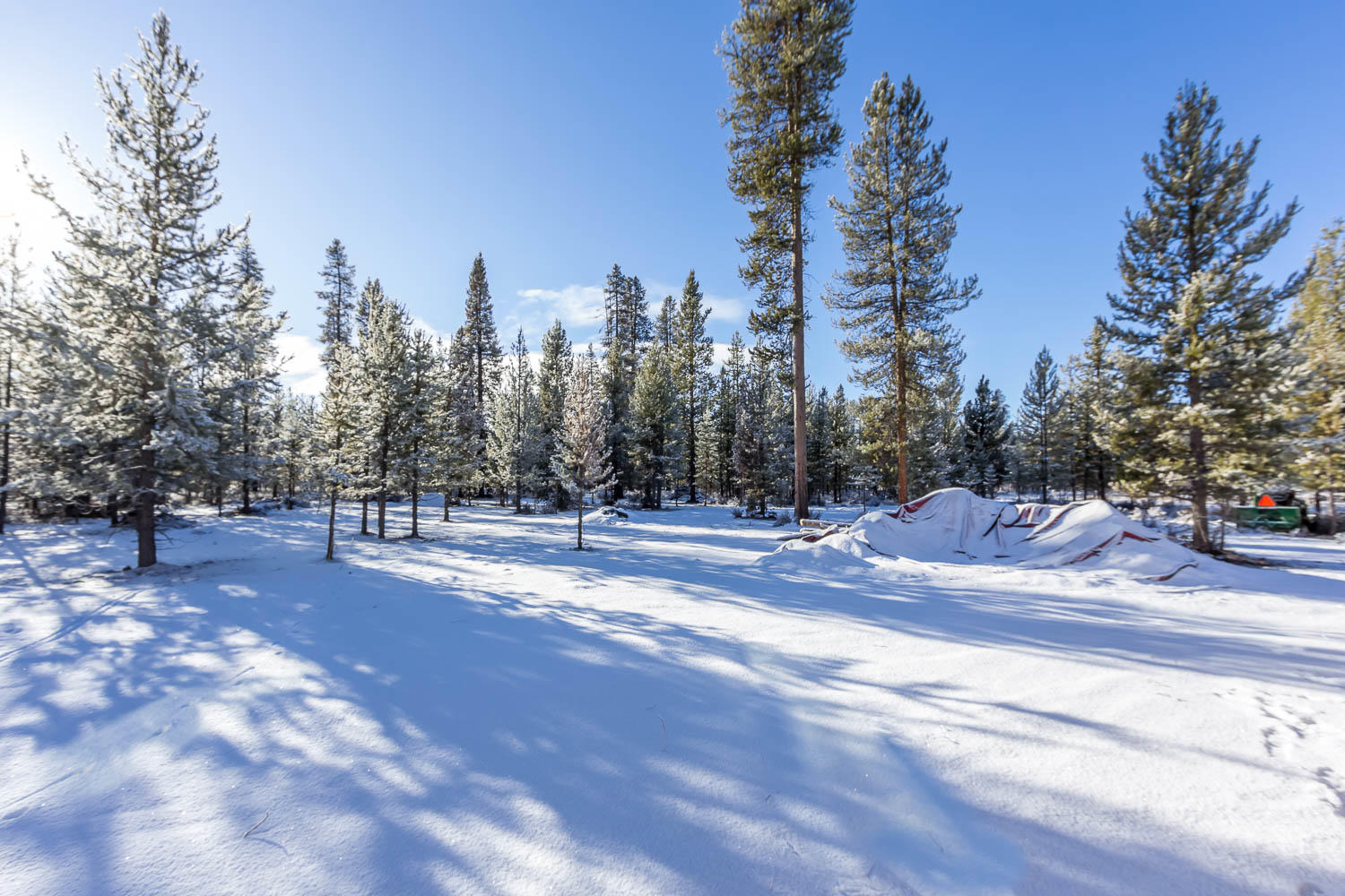 Sun Forest Estates - Residential