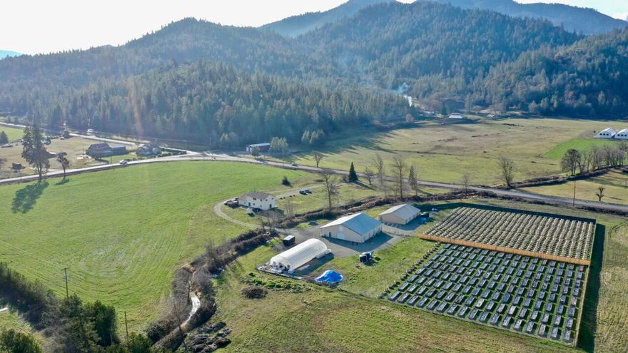 Blue Gold! 1892 water rights to the Applegate river along with 4 other water certificates provide security during these heavy drought years to feed the 2, Tier 2 OLCC licensed farms. This is one of the cleanest well-kept farms on the market today, and won't disappoint with 800amp 3 phase 208v service, a 400 amp single-phase service and one additional 3 phase power drop at 10hp irrigation pump. The property has one 60x60 shop set up for indoor growing and flex drying and curing space, a 60x40 shop also ready to grow indoor and set up to dry and cure. A 30x72 cold frame greenhouse is used to harden off clones and storage, raised beds and each garden space has an automatic watering system with 4 Zones, 2 -2500 gal holding tanks and 1- 1000 gal nutrient tank.  12Ft T post throughout gardens for netting, The 4 bedroom 3 full 1 half bath home is perfect for owner operator or for your manager and grow team! This place is truly turn-key!