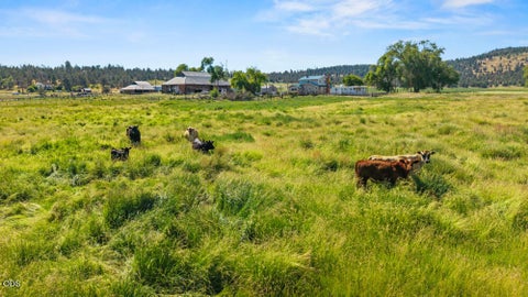 Tiny photo for 13350 Highway 66, Klamath Falls, OR 97601 (MLS # 220223938)