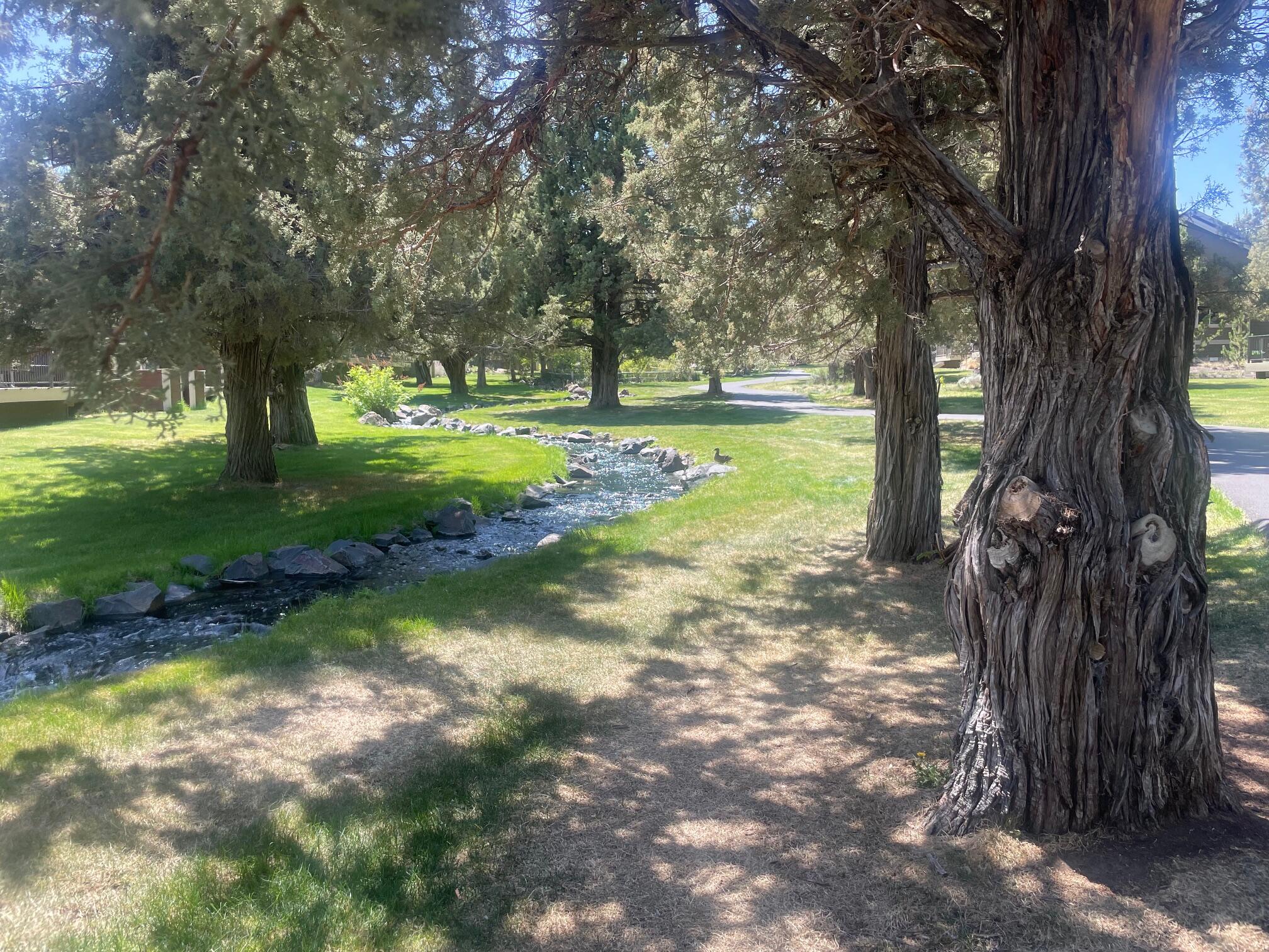 608 Sage Country Court