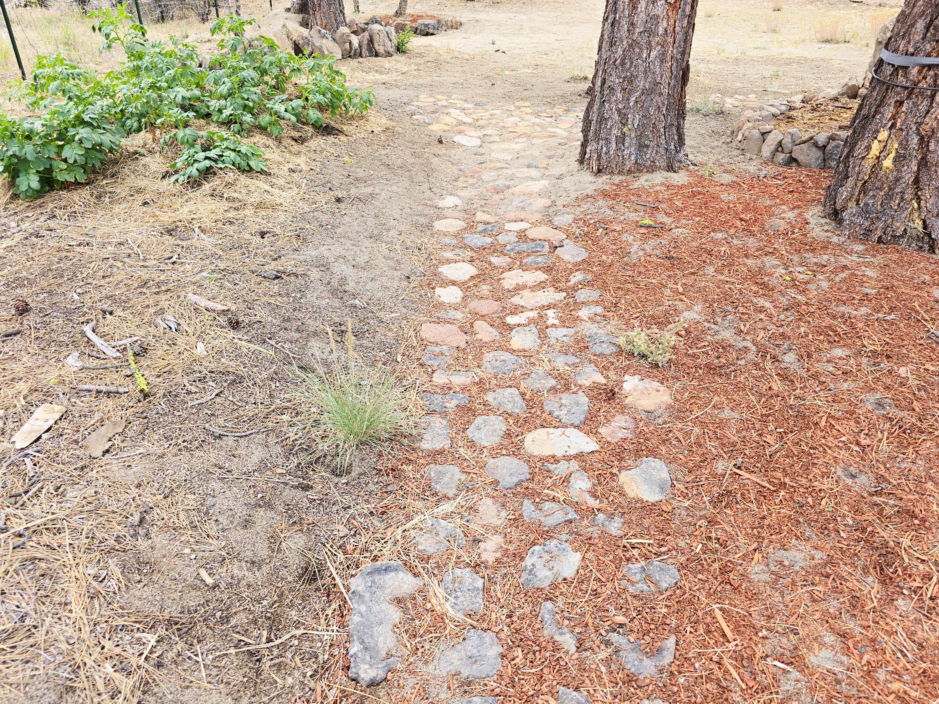 Ferguson Mountain Pines - Residential