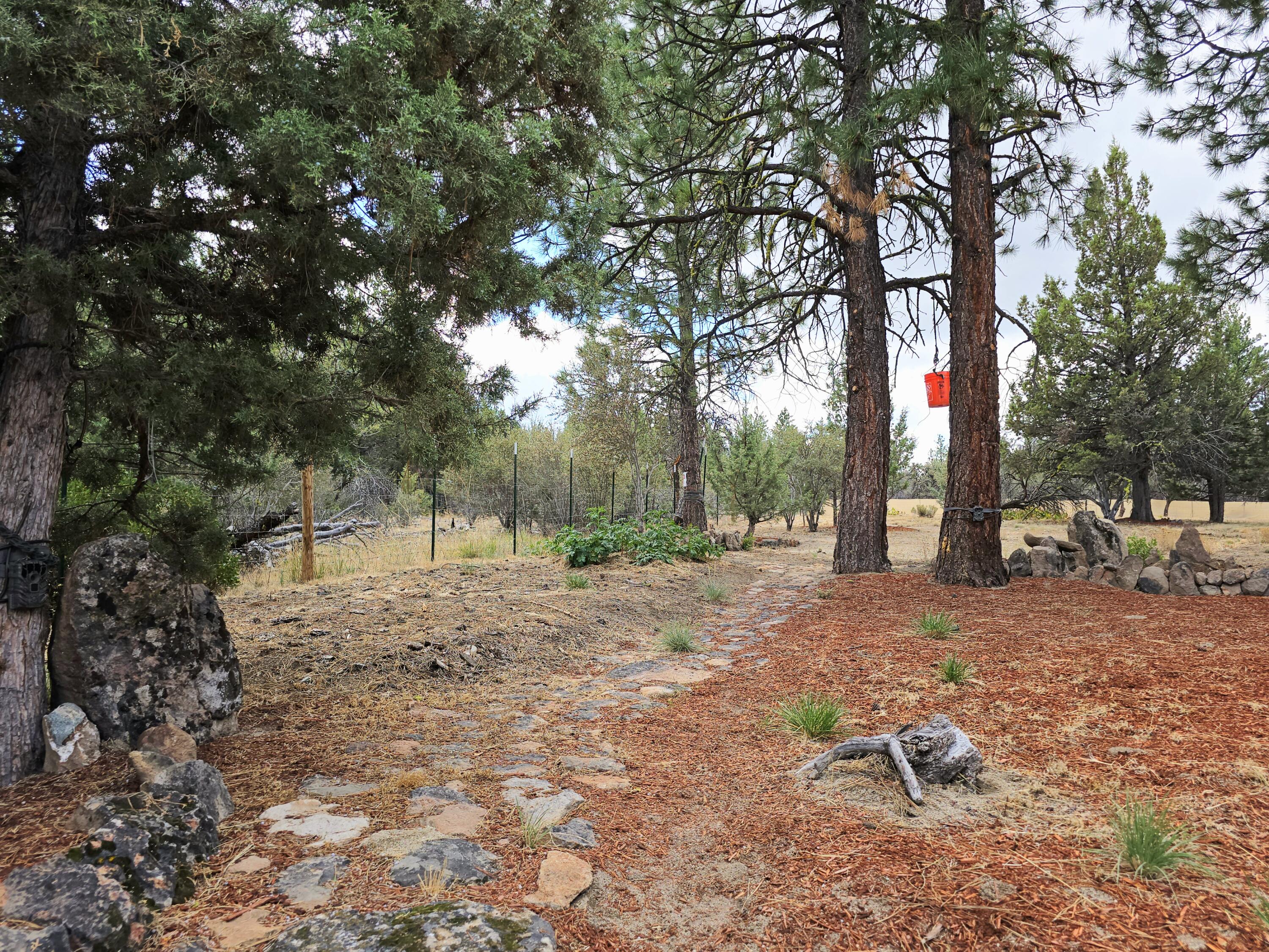 Ferguson Mountain Pines - Residential